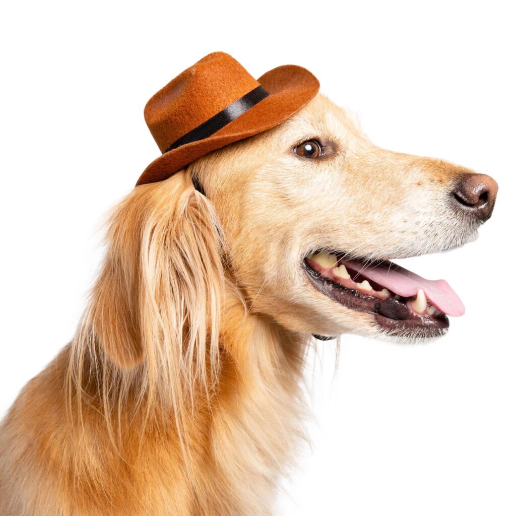 Brown Cowboy Hat for Dogs Cats Pets Adjustable Western Prop Cosplay Costumes Shoots Parties SMALL
