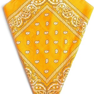 Amber Paisley Bandana Head Scarf Headbands Handkerchief Cowboy Cotton Bib Party Face Covering Headwear For Motorcycling Mens Womens Unisex