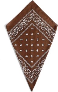 Brown Paisley Bandana Head Scarf Headbands Handkerchief Cowboy Cotton Bib Party Face Covering Headwear For Motorcycling Mens Womens Unisex