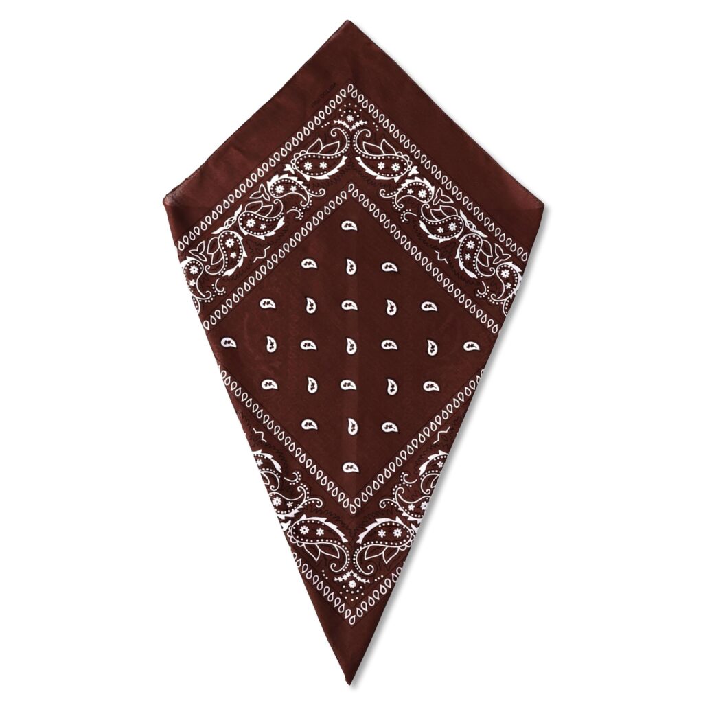 Coffee Paisley Bandana Head Scarf Headbands Handkerchief Cowboy Cotton Bib Face Covering Headwear