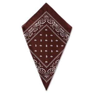 Coffee Paisley Bandana Head Scarf Headbands Handkerchief Cowboy Cotton Bib Party Face Covering Headwear For Motorcycling Mens Womens Unisex