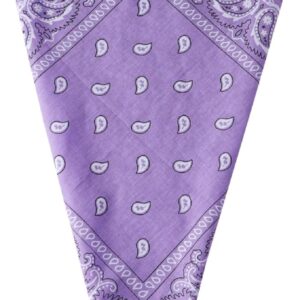 Lilac Paisley Bandana Head Scarf Headbands Handkerchief Cowboy Cotton Bib Party Face Covering Headwear For Motorcycling Mens Womens Unisex