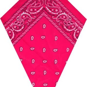 Neon Pink Paisley Bandana Head Scarf Headbands Handkerchief Cowboy Cotton Bib Party Face Covering Headwear For Motorcycling Mens Womens Unisex