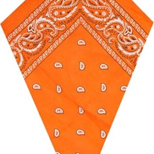Orange Paisley Bandana Head Scarf Headbands Handkerchief Cowboy Cotton Bib Party Face Covering Headwear For Motorcycling Mens Womens Unisex