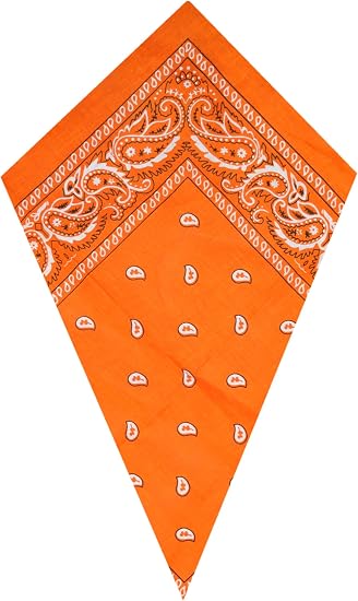 Orange Paisley Bandana Head Scarf Headbands Handkerchief Cowboy Cotton Bib Face Covering Headwear