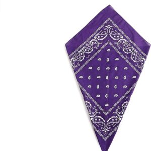 Purple Paisley Bandana Head Scarf Headbands Handkerchief Cowboy Cotton Bib Party Face Covering Headwear For Motorcycling Mens Womens Unisex