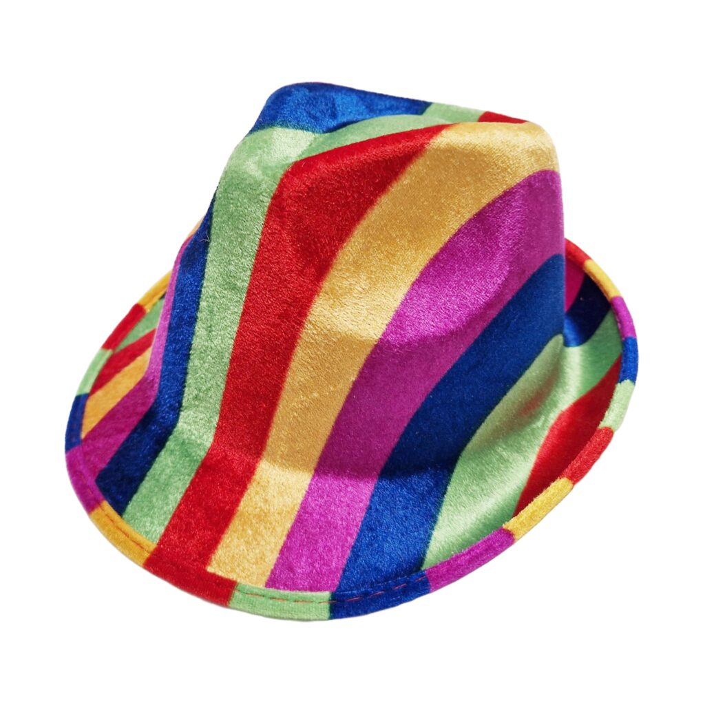 We Show Pride Gay Pride Rainbow Festival Adults Party Cowboy Trilby Hat