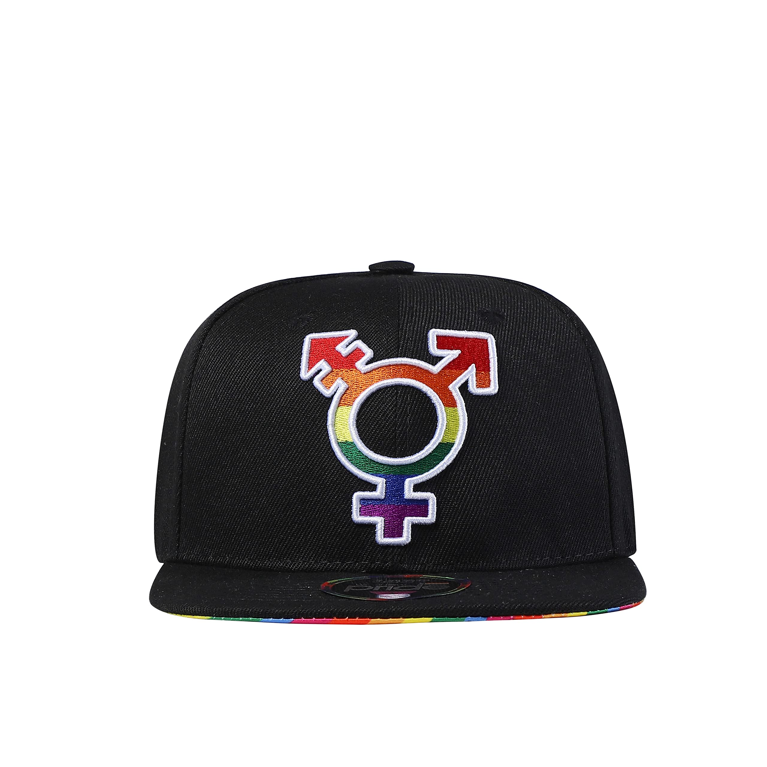 We Show Pride Gay Pride Key Black Rainbow Snapback Baseball Cap (WSPSB2)