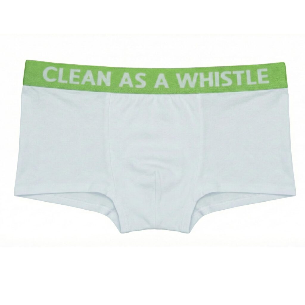 Clean As A Whistle Girls Womens Disposable Knickers Briefs Pants Underwear Nightwear Clothing Ideal For Travel Festivals Holidays Size 6-8