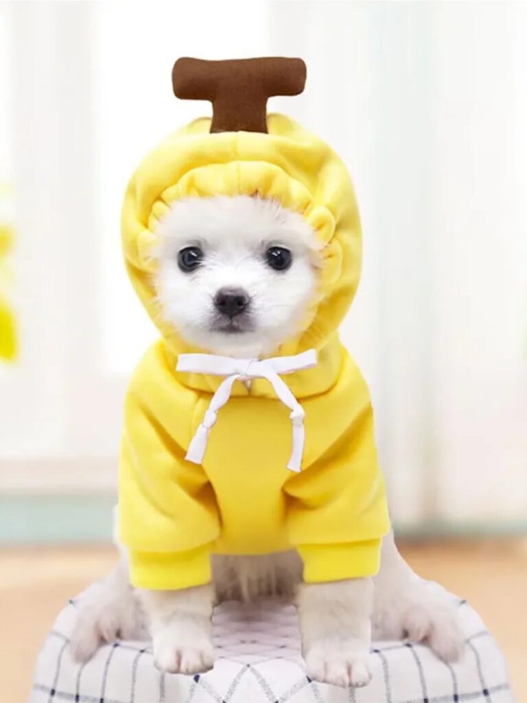 Banana Dog Costume Dress Up Food Fruit Yellow Puppy Outfit Funny Cute Pet Suit Cloak Clothes Fun Novelty Gift Small